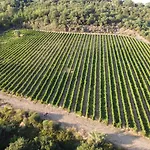 Stalla - Cortona Farm stay Corgna